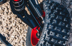 MOJAVE 6S 4WD BLX DESERT TRK RTR RED/BLACK