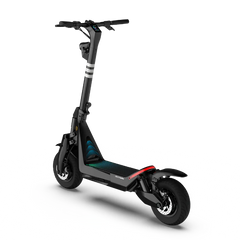 Panther ES800 Off-Road Electric Scooter