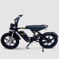 CAFE MAX P20 EBIKE
