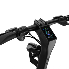 Panther ES800 Off-Road Electric Scooter