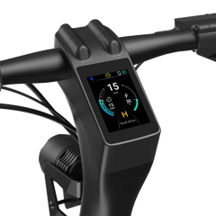 Panther ES800 Off-Road Electric Scooter