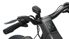Ranger EB50 Fat Tire Electric Bike