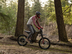 Freego X2 Pro All-Terrain Dirt eBike