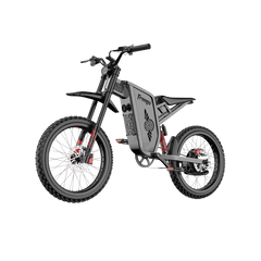Freego X2 Pro All-Terrain Dirt eBike