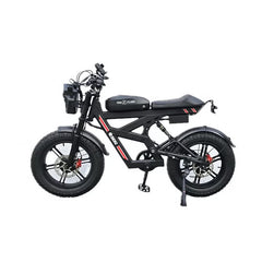 Z55 DUAL MOTOR WITH SPEAKER