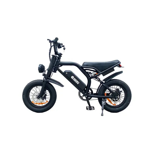 E-Bikes