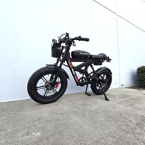 Z55 DUAL MOTOR WITH SPEAKER