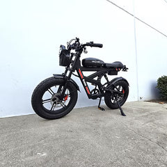 Z55 DUAL MOTOR WITH SPEAKER