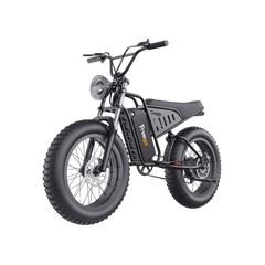 Freego S1 Cafe Racer eBike