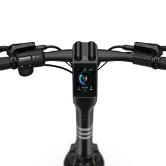 Panther ES800 Off-Road Electric Scooter