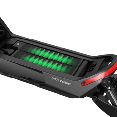 Panther ES800 Off-Road Electric Scooter