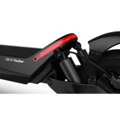 Panther ES800 Off-Road Electric Scooter